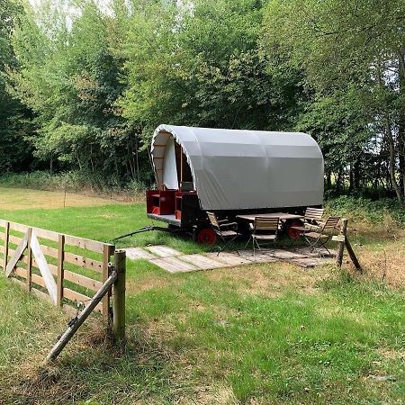 Huifkar In Landelijke Omgeving De Mersken 9 Ureterp Dış mekan fotoğraf
